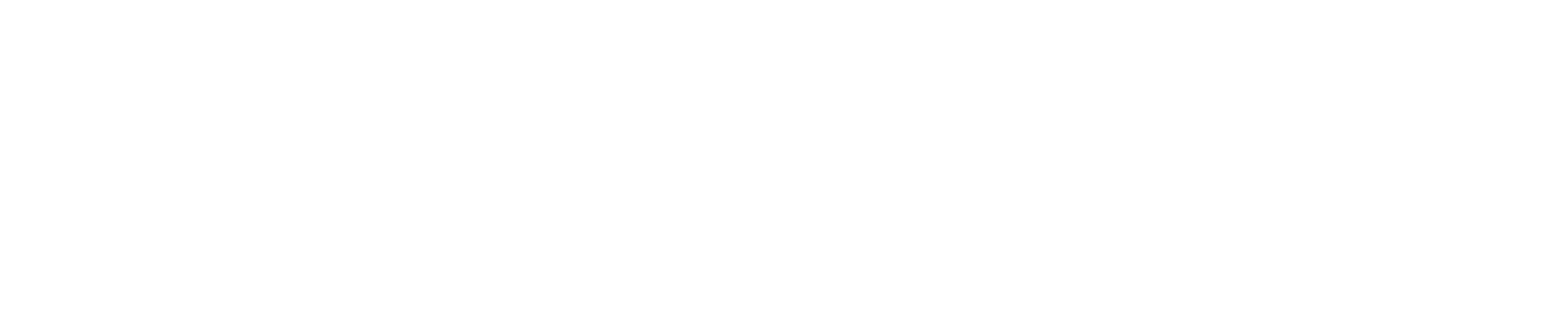 BN Home Painting Logo White
